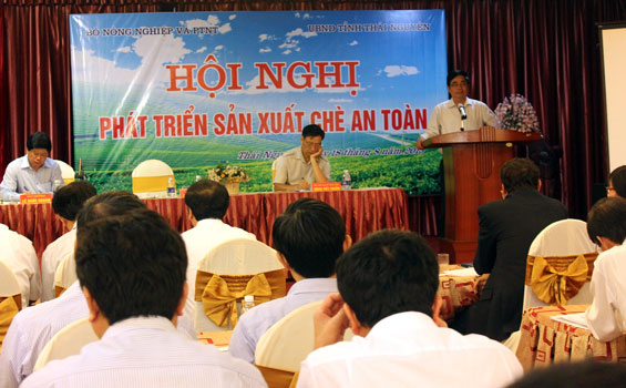 Cần những giải pháp mang tính hệ thống để phát triển sản xuất chè an toàn 